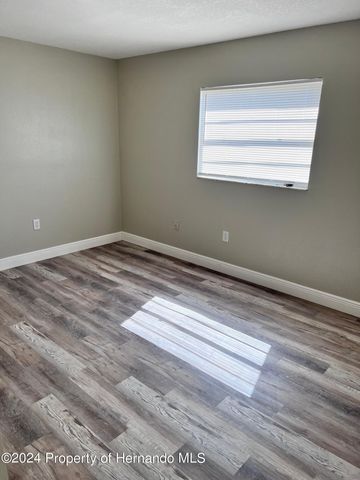 13105 Hanley Drive, Spring Hill, FL 34609