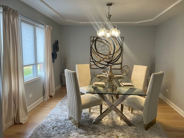 21206 Sophia Drive, Matteson, IL 60443