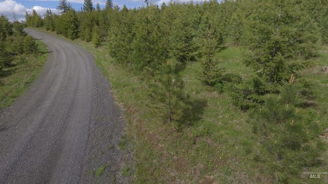 TBD Badger Ridge Dr Parcel 3, Orofino, ID 83544