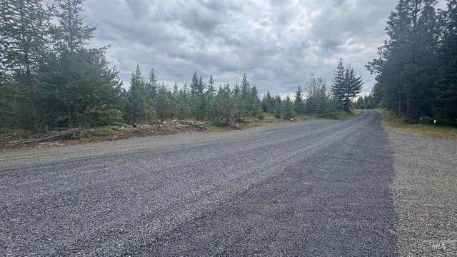 TBD Badger Ridge Dr Parcel 3, Orofino, ID 83544