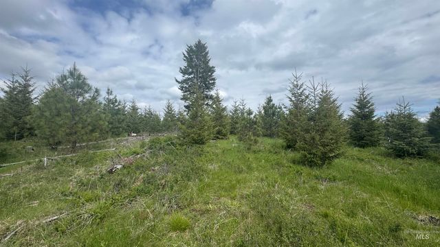 TBD Badger Ridge Dr Parcel 3, Orofino, ID 83544
