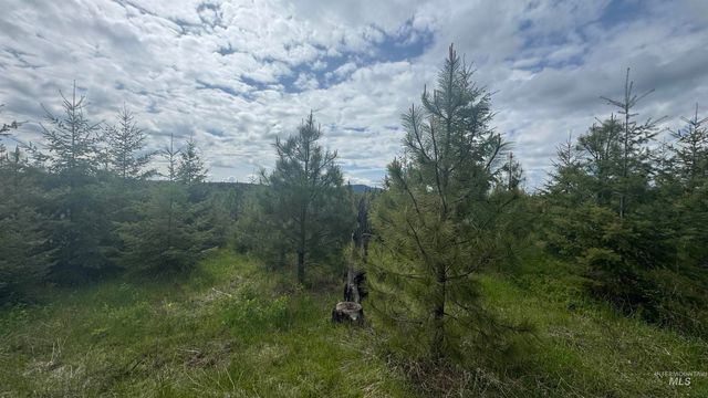 TBD Badger Ridge Dr Parcel 3, Orofino, ID 83544
