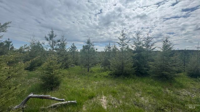 TBD Badger Ridge Dr Parcel 3, Orofino, ID 83544