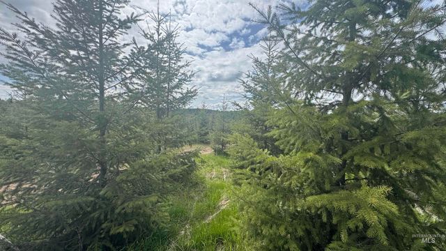 TBD Badger Ridge Dr Parcel 3, Orofino, ID 83544