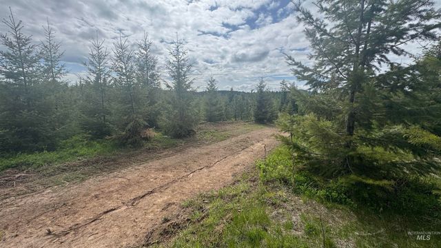 TBD Badger Ridge Dr Parcel 3, Orofino, ID 83544