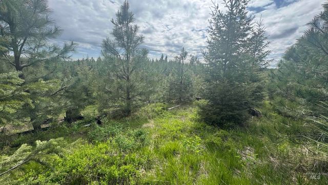 TBD Badger Ridge Dr Parcel 3, Orofino, ID 83544