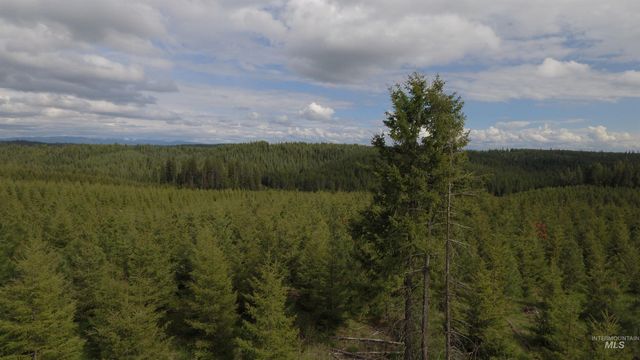 TBD Badger Ridge Dr Parcel 3, Orofino, ID 83544