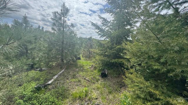 TBD Badger Ridge Dr Parcel 3, Orofino, ID 83544