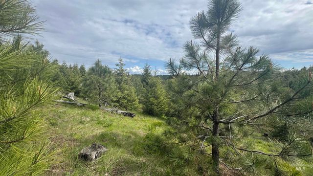 TBD Badger Ridge Dr Parcel 3, Orofino, ID 83544