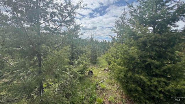 TBD Badger Ridge Dr Parcel 3, Orofino, ID 83544