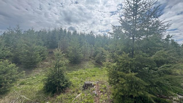 TBD Badger Ridge Dr Parcel 3, Orofino, ID 83544