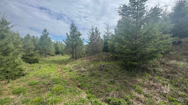 TBD Badger Ridge Dr Parcel 3, Orofino, ID 83544