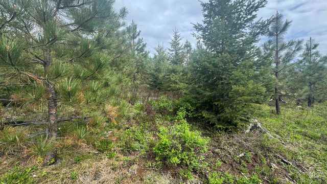 TBD Badger Ridge Dr Parcel 3, Orofino, ID 83544
