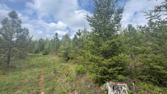 TBD Badger Ridge Dr Parcel 3, Orofino, ID 83544