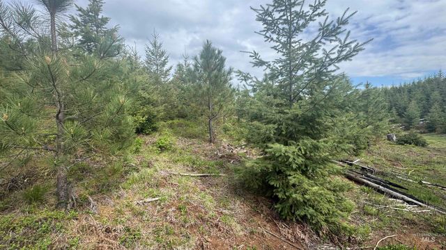 TBD Badger Ridge Dr Parcel 3, Orofino, ID 83544