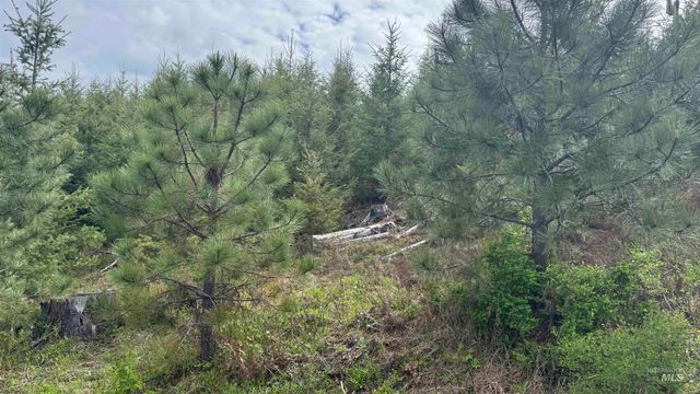 TBD Badger Ridge Dr Parcel 3, Orofino, ID 83544