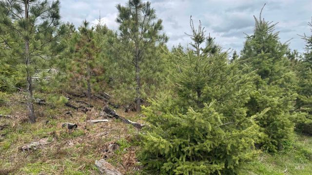 TBD Badger Ridge Dr Parcel 3, Orofino, ID 83544