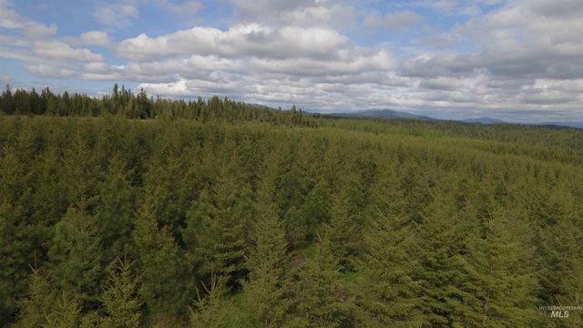 TBD Badger Ridge Dr Parcel 3, Orofino, ID 83544