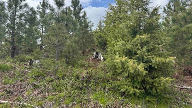 TBD Badger Ridge Dr Parcel 3, Orofino, ID 83544