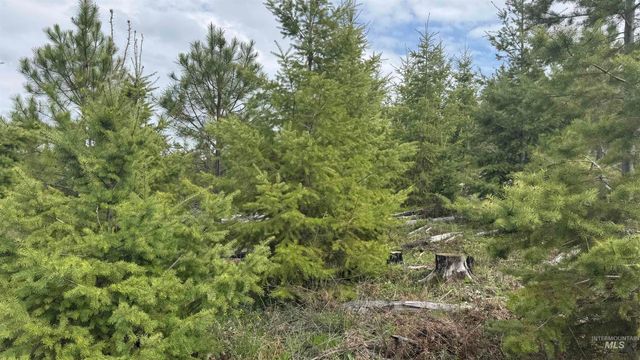 TBD Badger Ridge Dr Parcel 3, Orofino, ID 83544