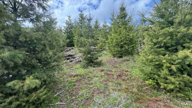 TBD Badger Ridge Dr Parcel 3, Orofino, ID 83544
