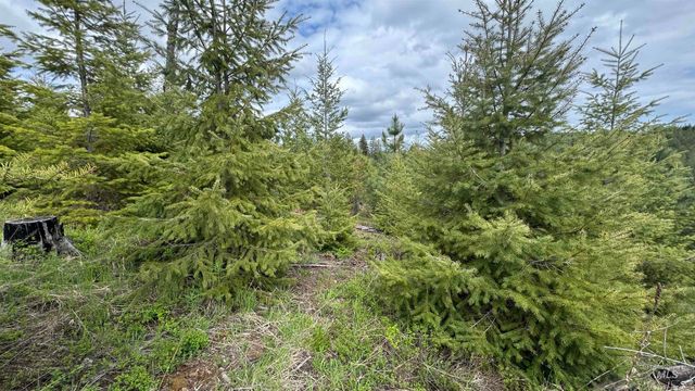 TBD Badger Ridge Dr Parcel 3, Orofino, ID 83544