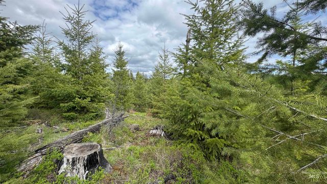 TBD Badger Ridge Dr Parcel 3, Orofino, ID 83544
