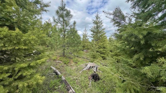 TBD Badger Ridge Dr Parcel 3, Orofino, ID 83544