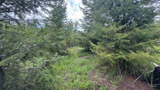 TBD Badger Ridge Dr Parcel 3, Orofino, ID 83544