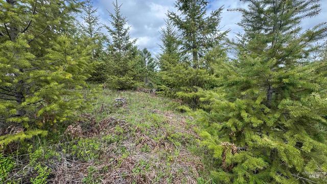 TBD Badger Ridge Dr Parcel 3, Orofino, ID 83544