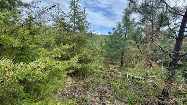TBD Badger Ridge Dr Parcel 3, Orofino, ID 83544