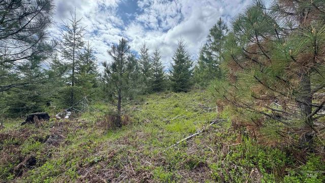 TBD Badger Ridge Dr Parcel 3, Orofino, ID 83544