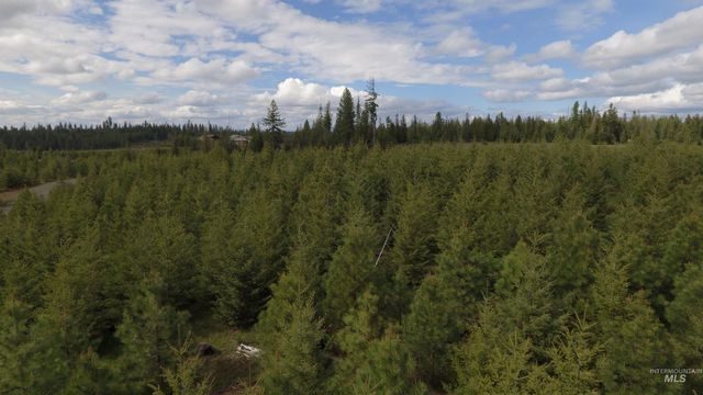 TBD Badger Ridge Dr Parcel 3, Orofino, ID 83544