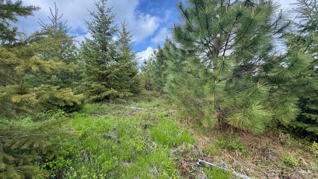 TBD Badger Ridge Dr Parcel 3, Orofino, ID 83544