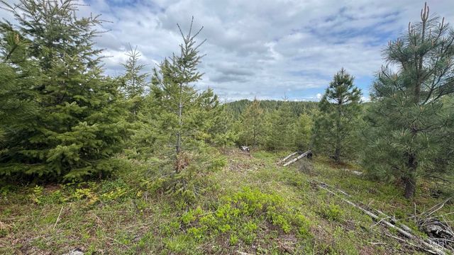 TBD Badger Ridge Dr Parcel 3, Orofino, ID 83544