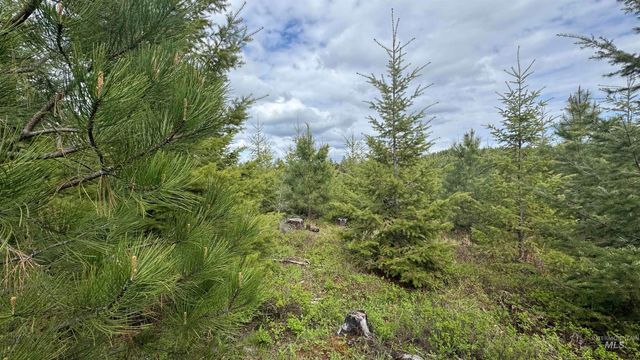 TBD Badger Ridge Dr Parcel 3, Orofino, ID 83544