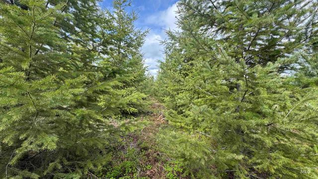 TBD Badger Ridge Dr Parcel 3, Orofino, ID 83544