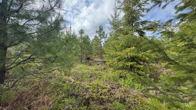 TBD Badger Ridge Dr Parcel 3, Orofino, ID 83544