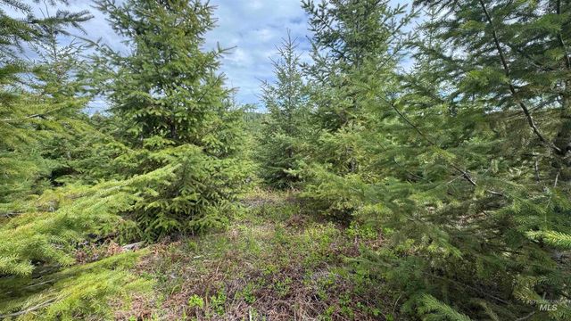 TBD Badger Ridge Dr Parcel 3, Orofino, ID 83544