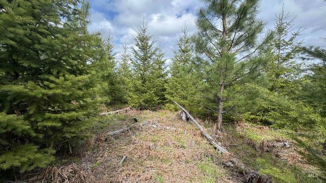 TBD Badger Ridge Dr Parcel 3, Orofino, ID 83544