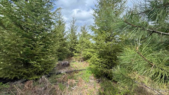 TBD Badger Ridge Dr Parcel 3, Orofino, ID 83544