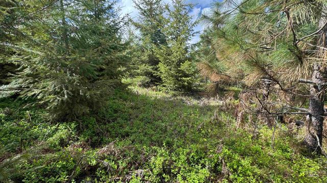 TBD Badger Ridge Dr Parcel 3, Orofino, ID 83544