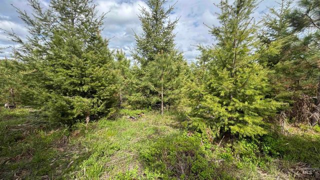 TBD Badger Ridge Dr Parcel 3, Orofino, ID 83544