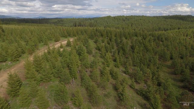 TBD Badger Ridge Dr Parcel 3, Orofino, ID 83544