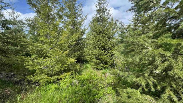 TBD Badger Ridge Dr Parcel 3, Orofino, ID 83544