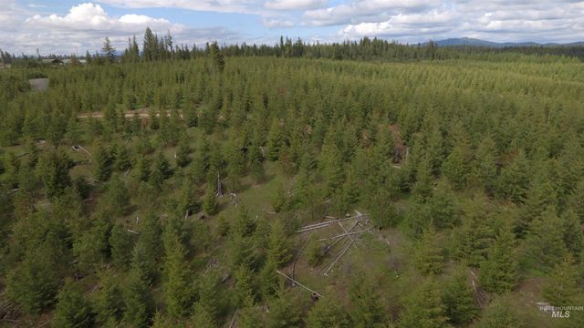 TBD Badger Ridge Dr Parcel 3, Orofino, ID 83544