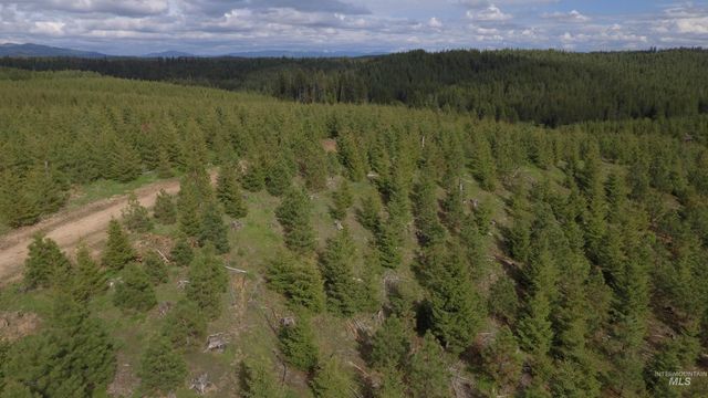 TBD Badger Ridge Dr Parcel 3, Orofino, ID 83544