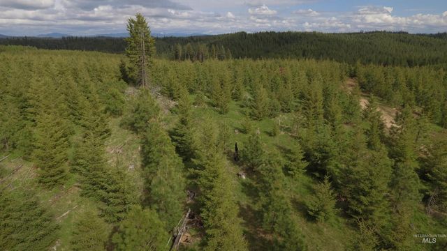 TBD Badger Ridge Dr Parcel 3, Orofino, ID 83544