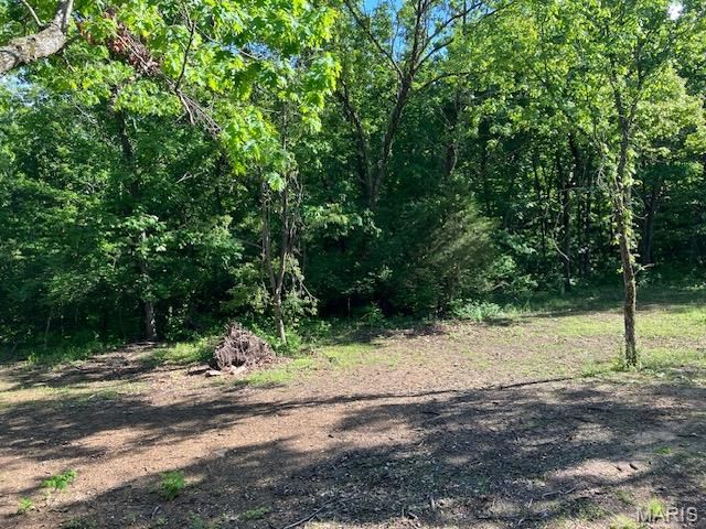12768 Maness Road, De Soto, MO 63020