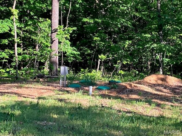 12768 Maness Road, De Soto, MO 63020